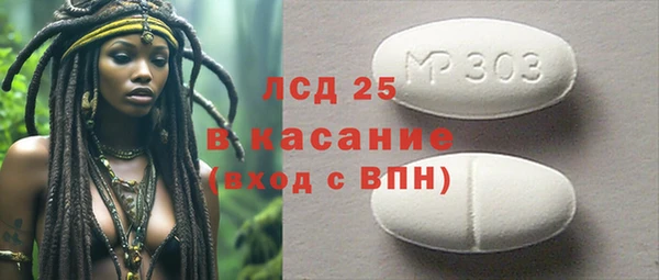 индика Мегион