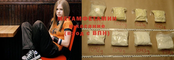 индика Мегион