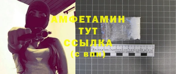 индика Мегион