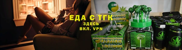 индика Мегион