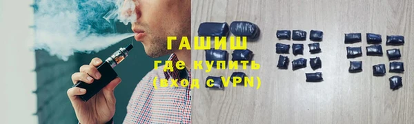индика Мегион