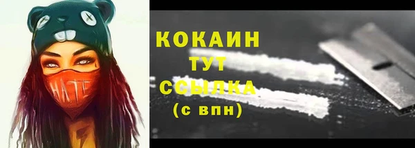 индика Мегион