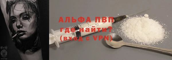 индика Мегион