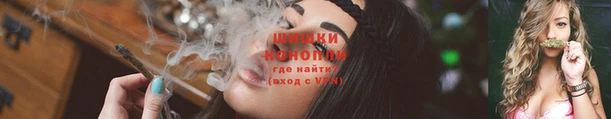 индика Мегион