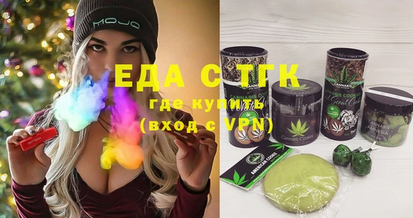 индика Мегион