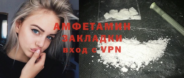 индика Мегион