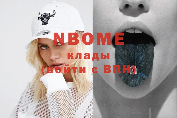 индика Мегион
