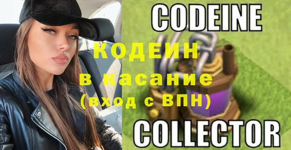 индика Мегион
