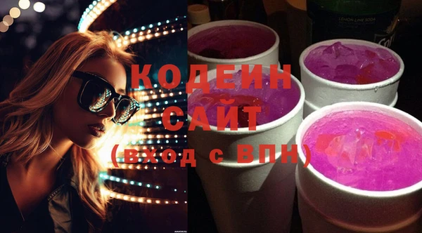 индика Мегион