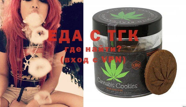 индика Мегион