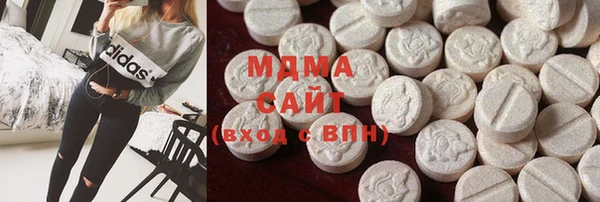 индика Мегион