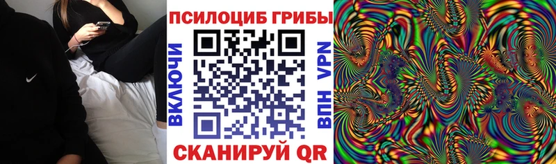 Псилоцибиновые грибы GOLDEN TEACHER  как найти   Юрьев-Польский 